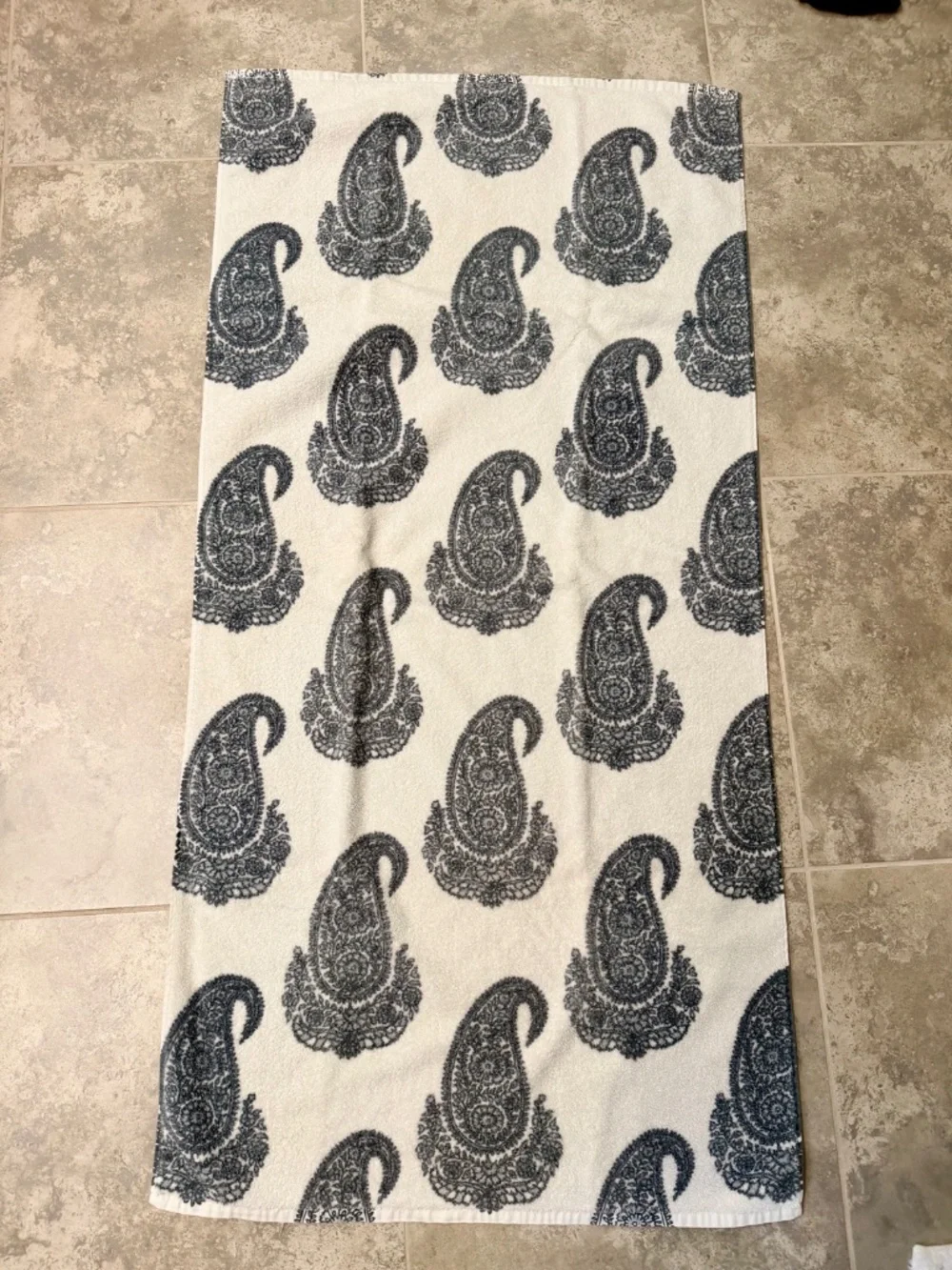 PotteryBarn Rayna Towels set of 2 blue paisley chinoiserie